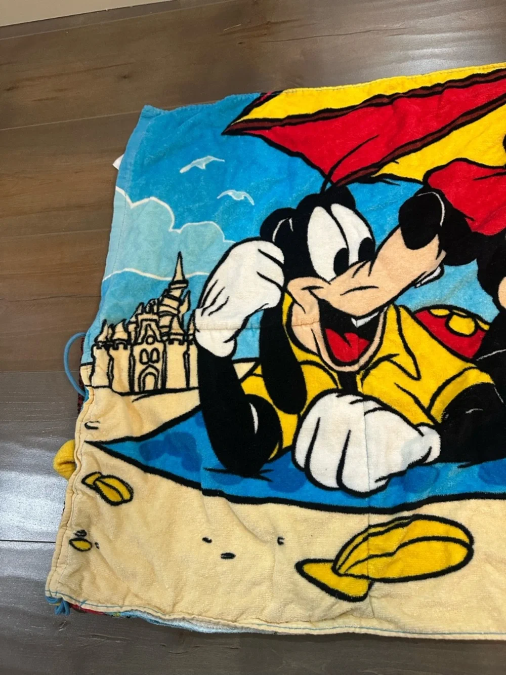 Disney fun summer